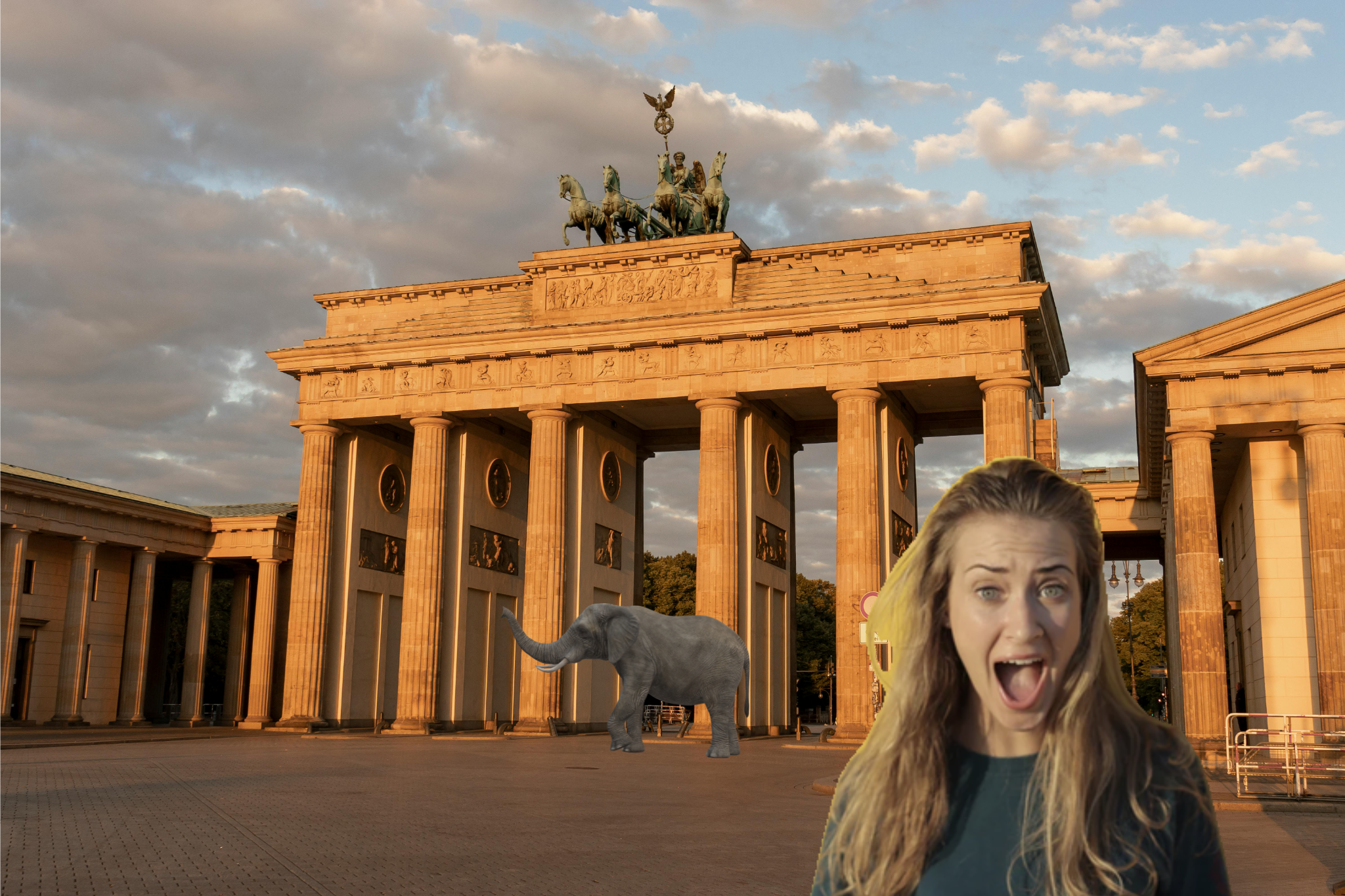 Elefant in Berlin gesichtet: Die Leute staunen